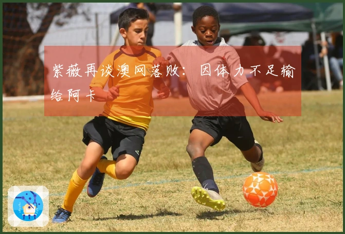 紫薇再谈澳网落败：因体力不足输给阿卡